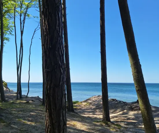 Widok na plażę w Orzechowie
